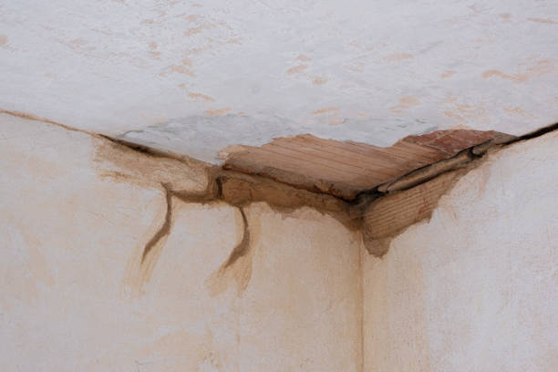 Best Water damage restoration near me  in New Madrid, MO