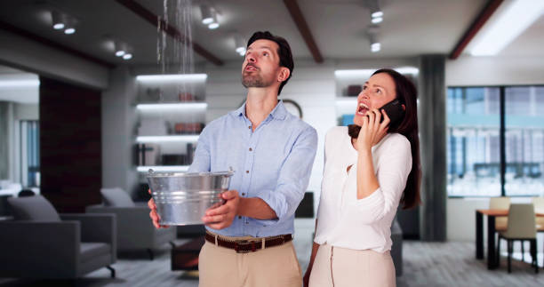 Best Professional water damage repair  in New Madrid, MO